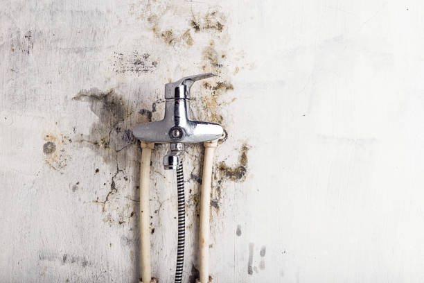 Best Localized Mold Remediation (e.g., coastal areas, humid climates) in Framingham, MA